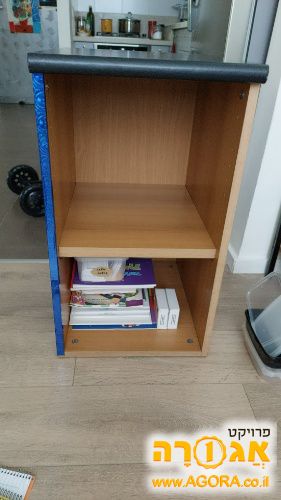 ארונית