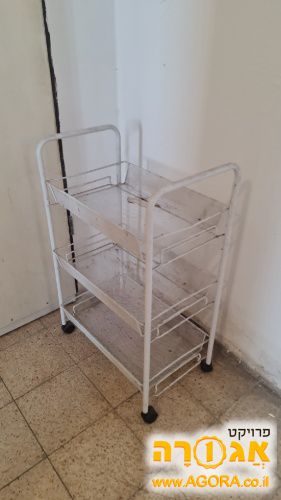 אירגונית