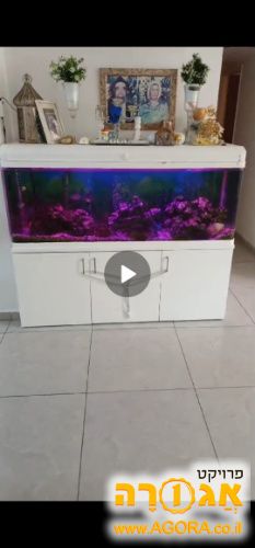 אקווריום