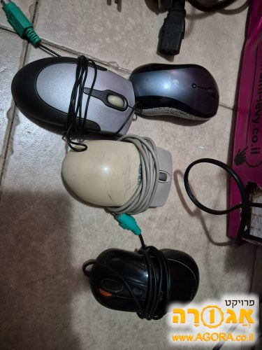 עכבר למחשב