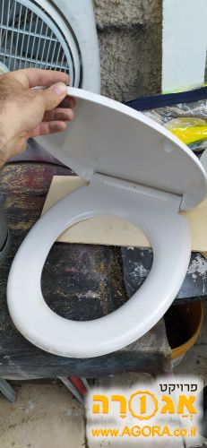אסלה נשלפת