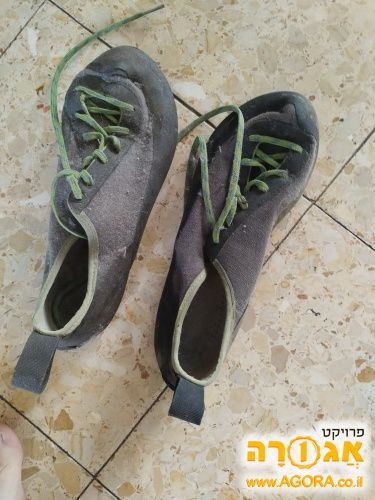 נעלי טיפוס