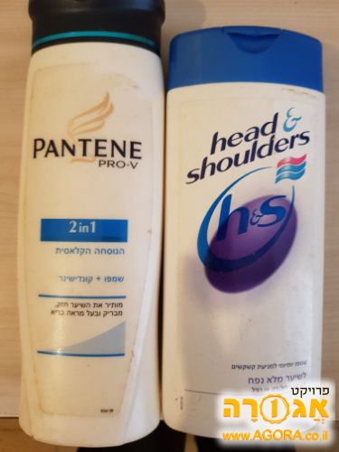 שמפו