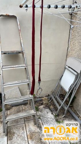 רצועה לכלב