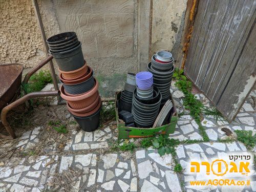 עציצים
