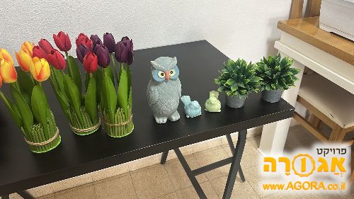 חפצי נוי