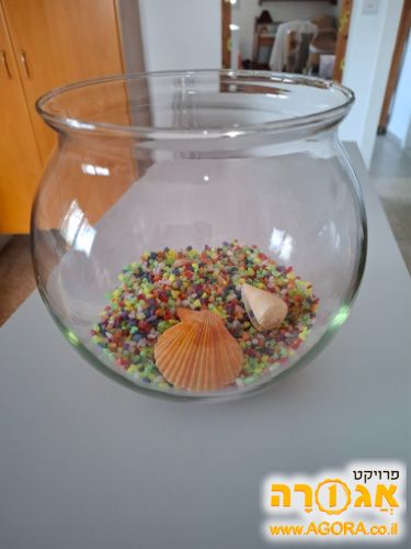 אקווריום זכוכית עגול
