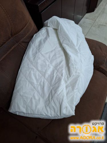מגן מיטה