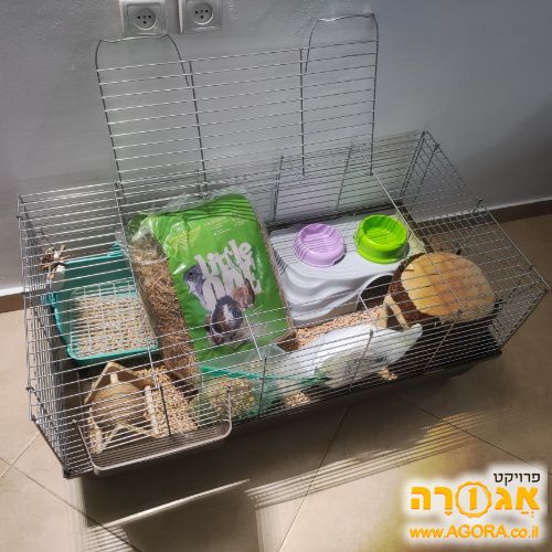 כלוב גדול לארנבונים