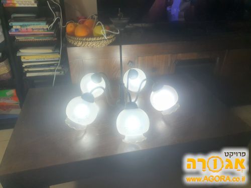 נברשת לסלון יפיפיה בצורת רימונים