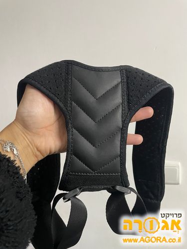 חגורת גב פשוטה