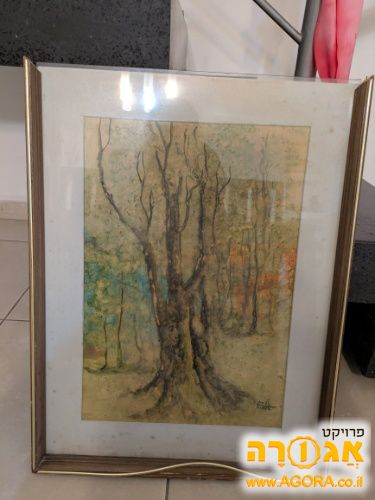 תמונה עצים ביער