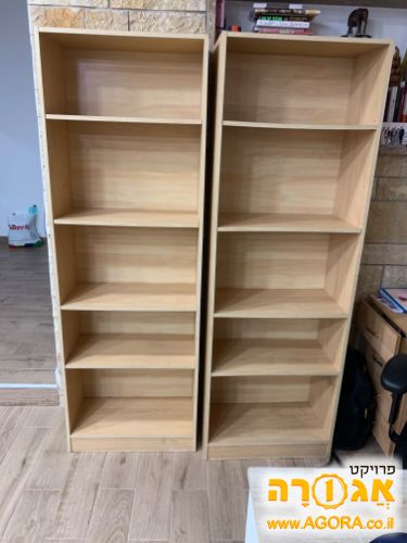 שתי כונניות
