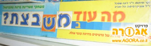 משחק מה עוד במשבצת