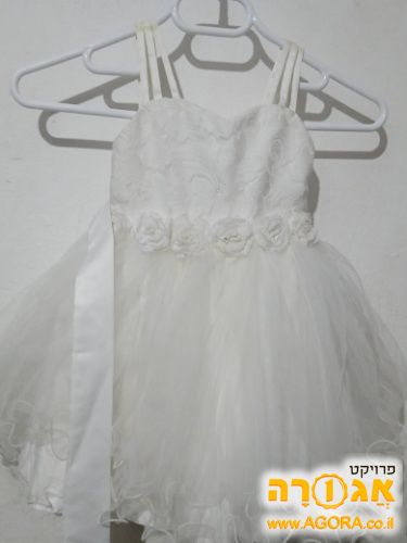 סרפן שיפון לארוע
