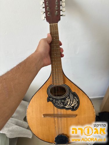 גיטרה/מנדולינה