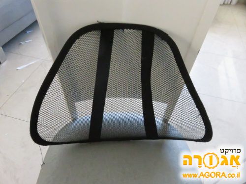 תמיכה לגב
