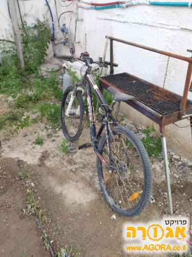 אופניים