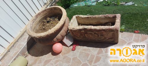 עציצים