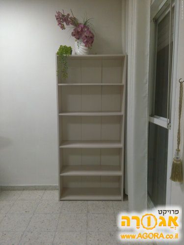 עמודון