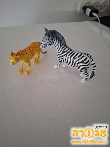 זברה ונמר משחק