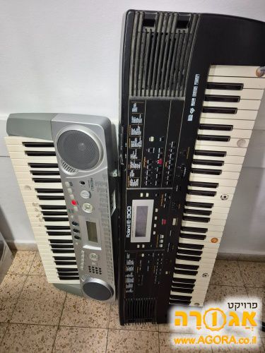 שתי אורגניות
