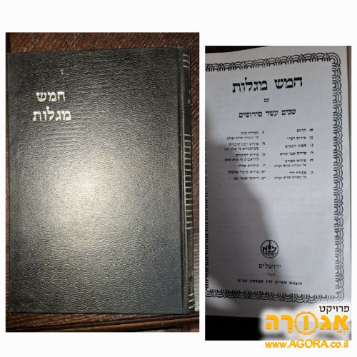 חמש מגילות עם 12 פירושים