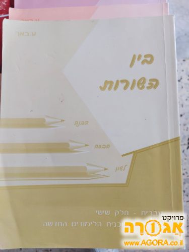 בין השורות