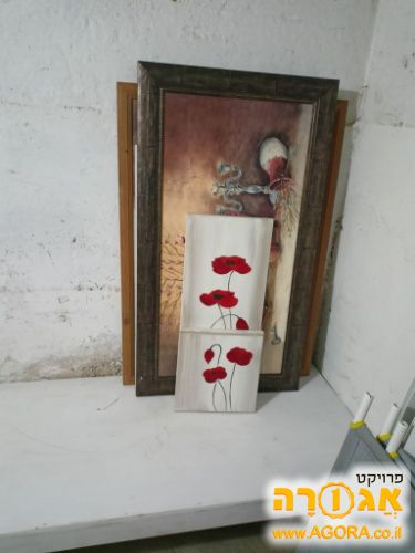 כל מיני סוגי תמונות לקיר