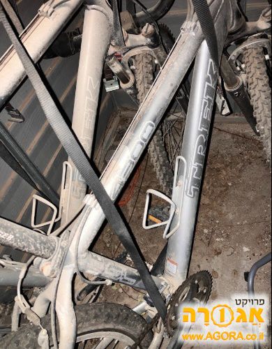 שני זוגות אופני הרים