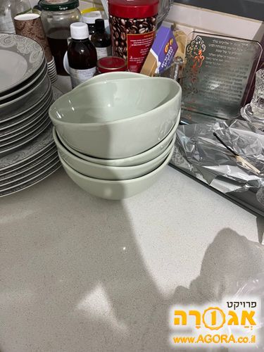 סט צלחות בשרי וחלבי