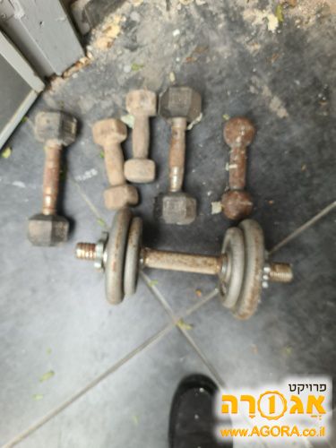 משקולות אימון