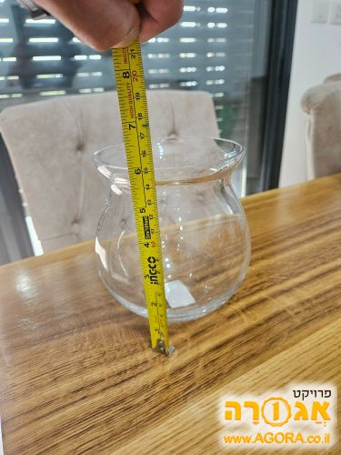 צנצנת