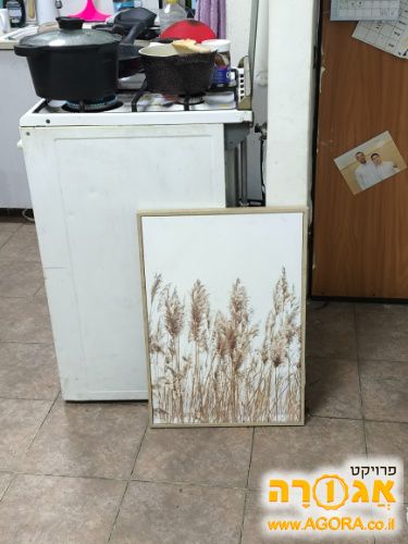 תמונה לבית