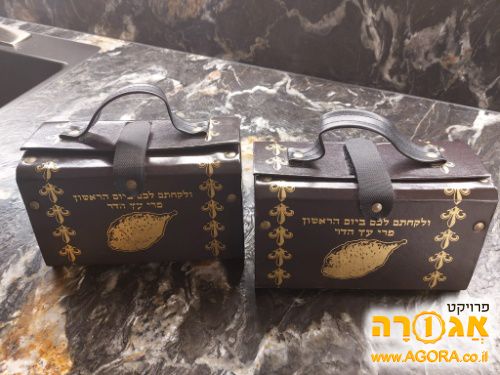 נרתיק לאתרוג