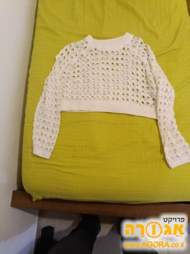 עליונית רשת