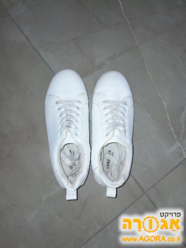 נעלי סניקרס