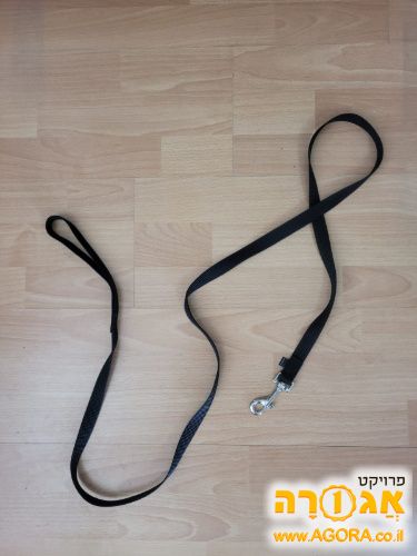 רצועה לכלב