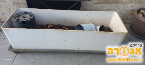 אדנית ענקית על גלגלים לגינה