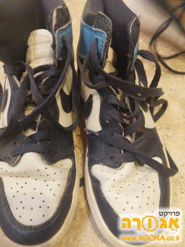 נעליי נייק אייר גורדון 1