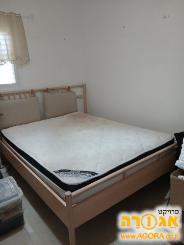 מיטה