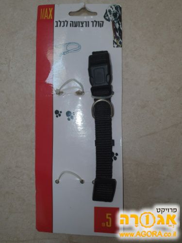 קולר לכלב