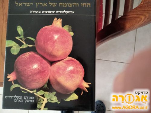 אינציקלופדית החי והצומח בא"י