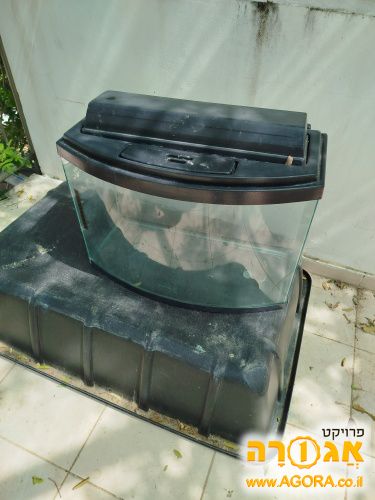אקווריום