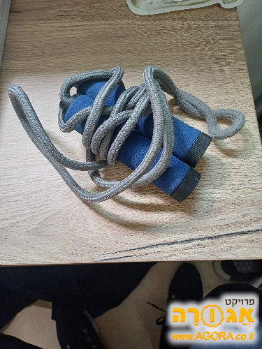 דלגית