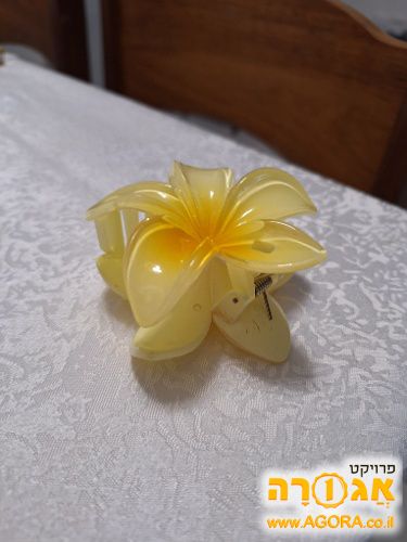 קליפס פרח לשיער
