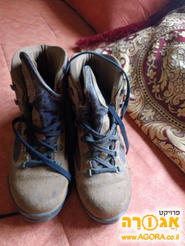 נעליים מידה 43