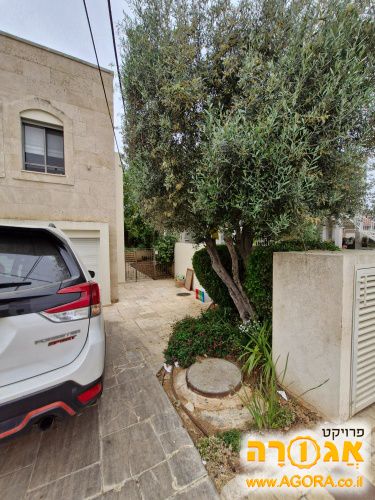 מסגרת גדולה+מסגרות קטנות+קלסרים שווים+תמ