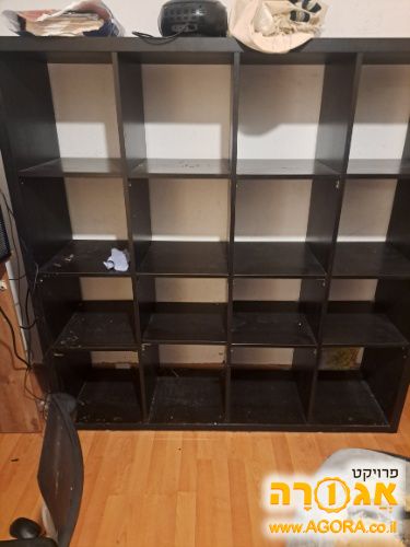 כוורת