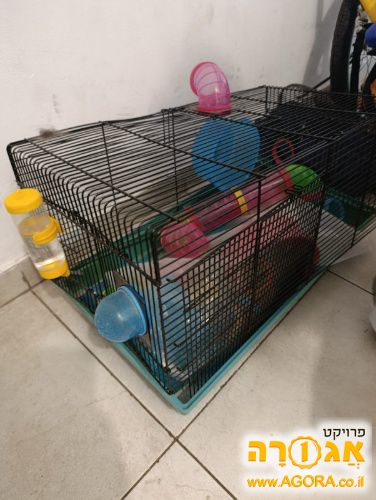 כלוב לאוגרים